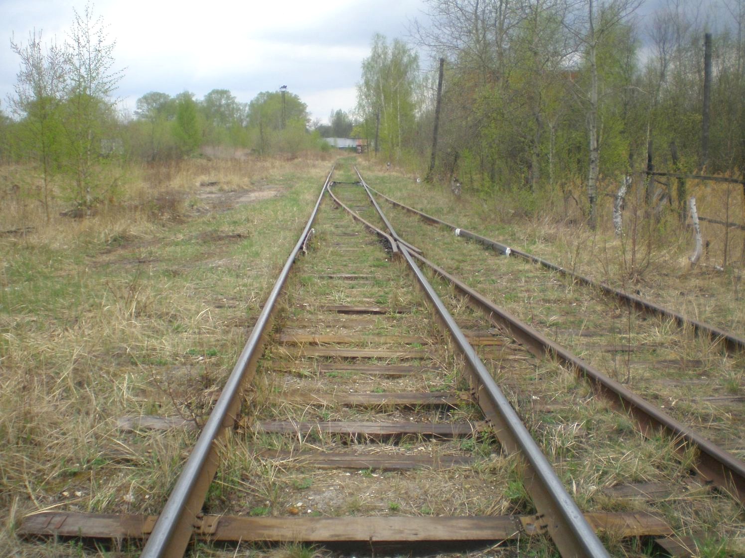 Железнодорожная линия Черусти — Рошаль  —  фотографии, сделанные в 2009 году (часть 1)