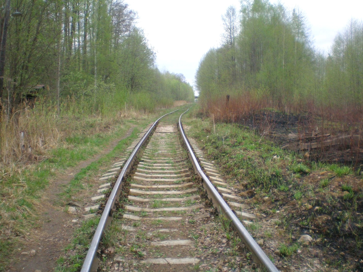 Железнодорожная линия Черусти — Рошаль  —  фотографии, сделанные в 2009 году (часть 2)