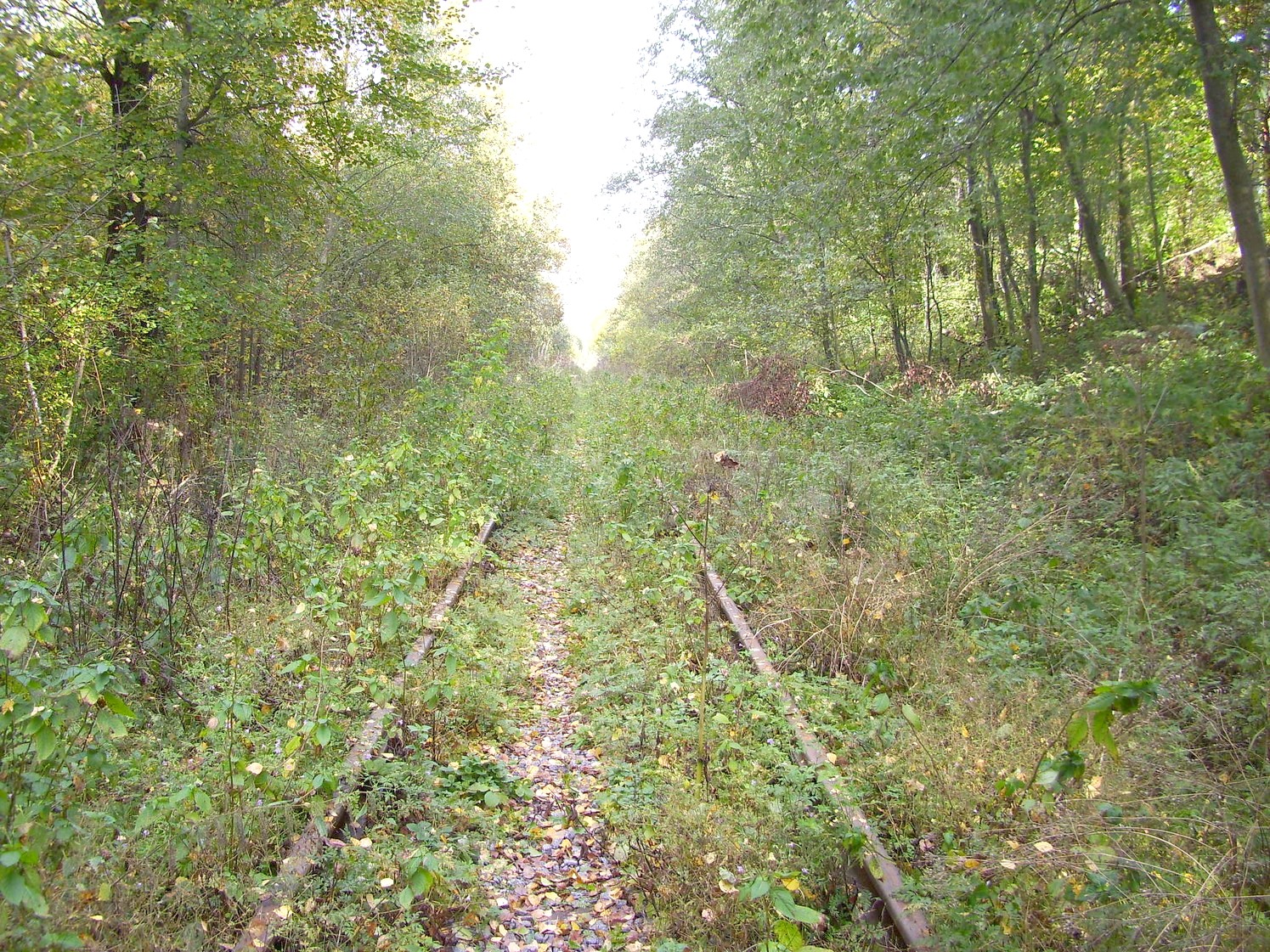 Железнодорожная линия Клин — Высоковск
  —  фотографии, сделанные в 2009 году (часть 9)