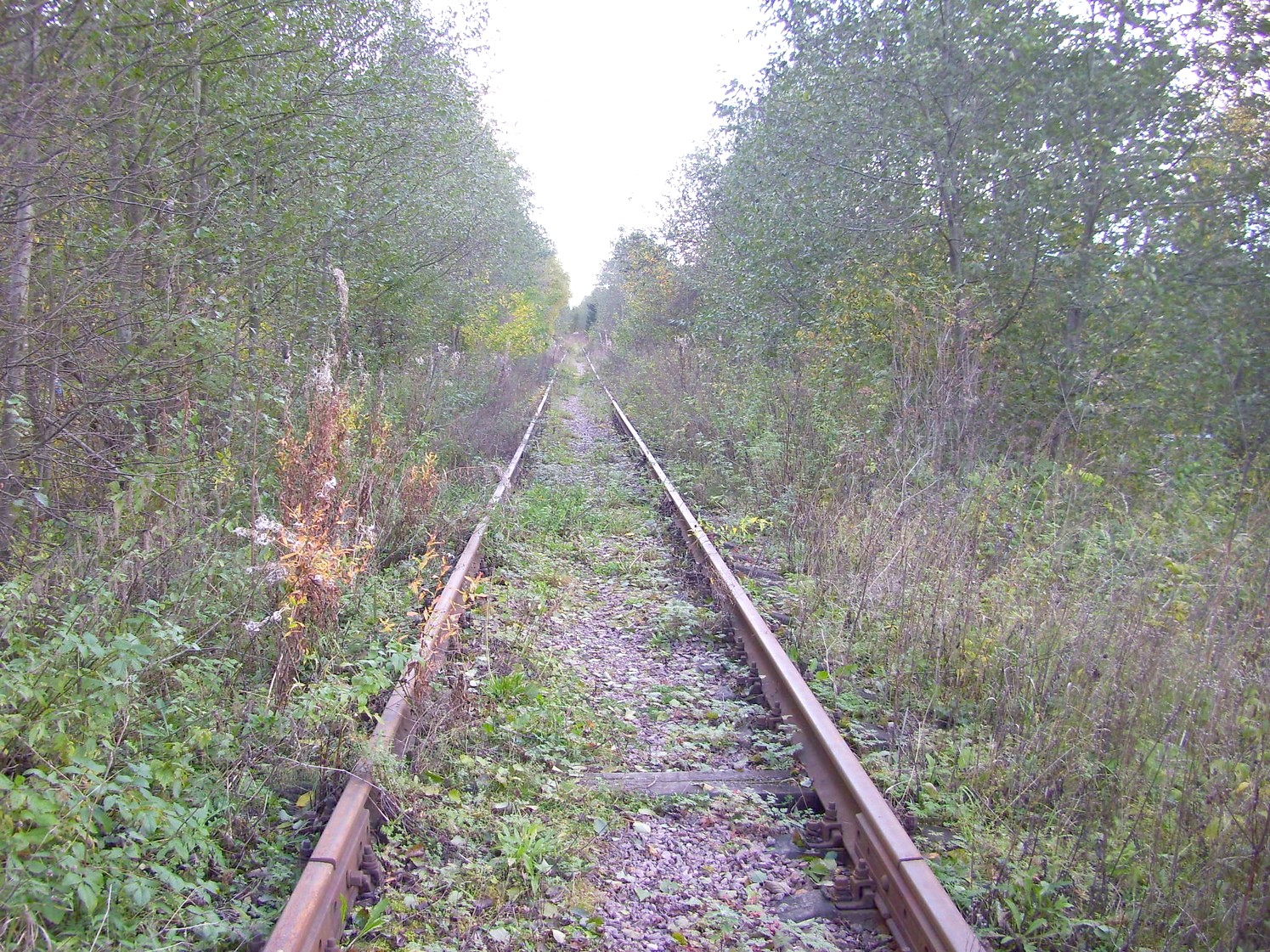 Железнодорожная линия Клин — Высоковск
  —  фотографии, сделанные в 2009 году (часть 10)