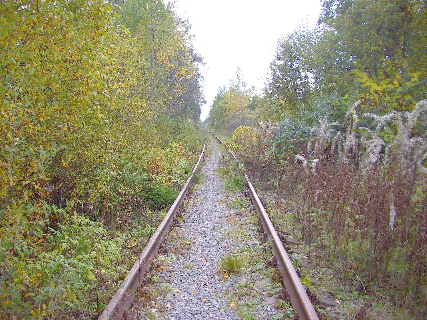 Железнодорожная линия Клин — Высоковск
  —  фотографии, сделанные в 2009 году (часть 11)