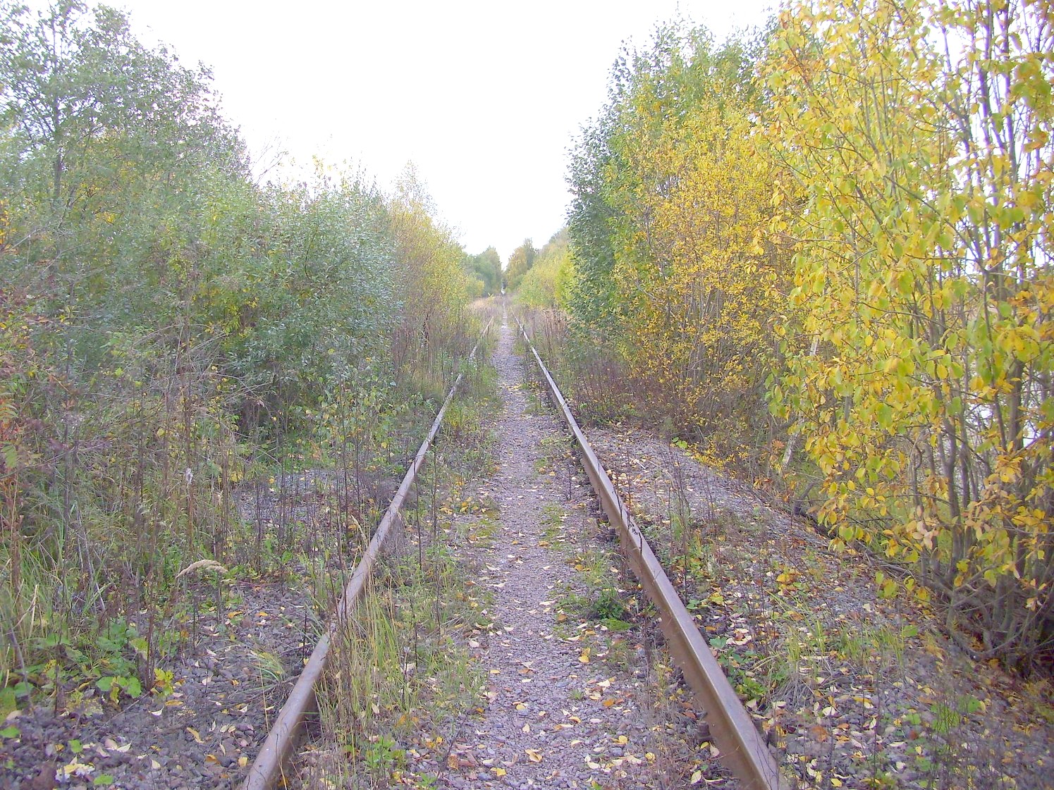 Железнодорожная линия Клин — Высоковск
  —  фотографии, сделанные в 2009 году (часть 5)