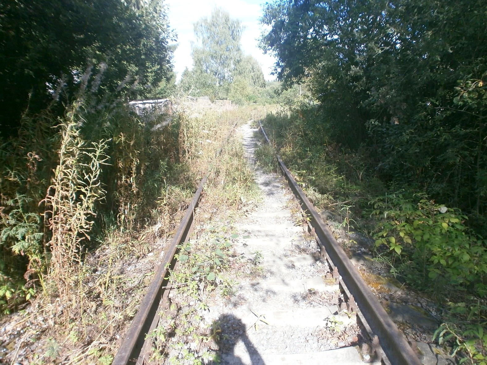 Железнодорожная линия Клин — Высоковск
  —  фотографии, сделанные в 2014 году (часть 2)