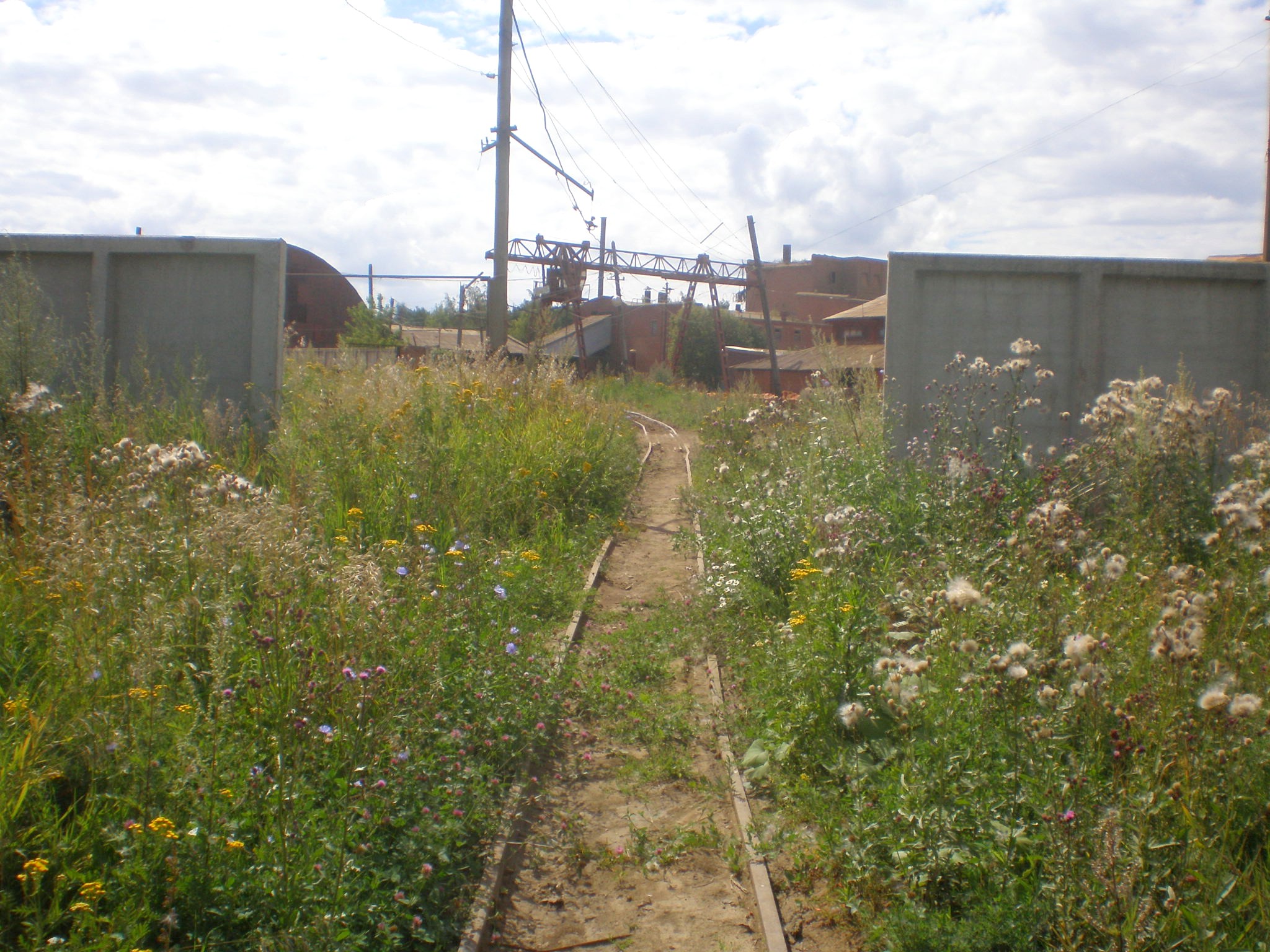 Узкоколейная железная дорога Зарайского завода строительных материалов — фотографии, сделанные в 2008 году (часть 3)