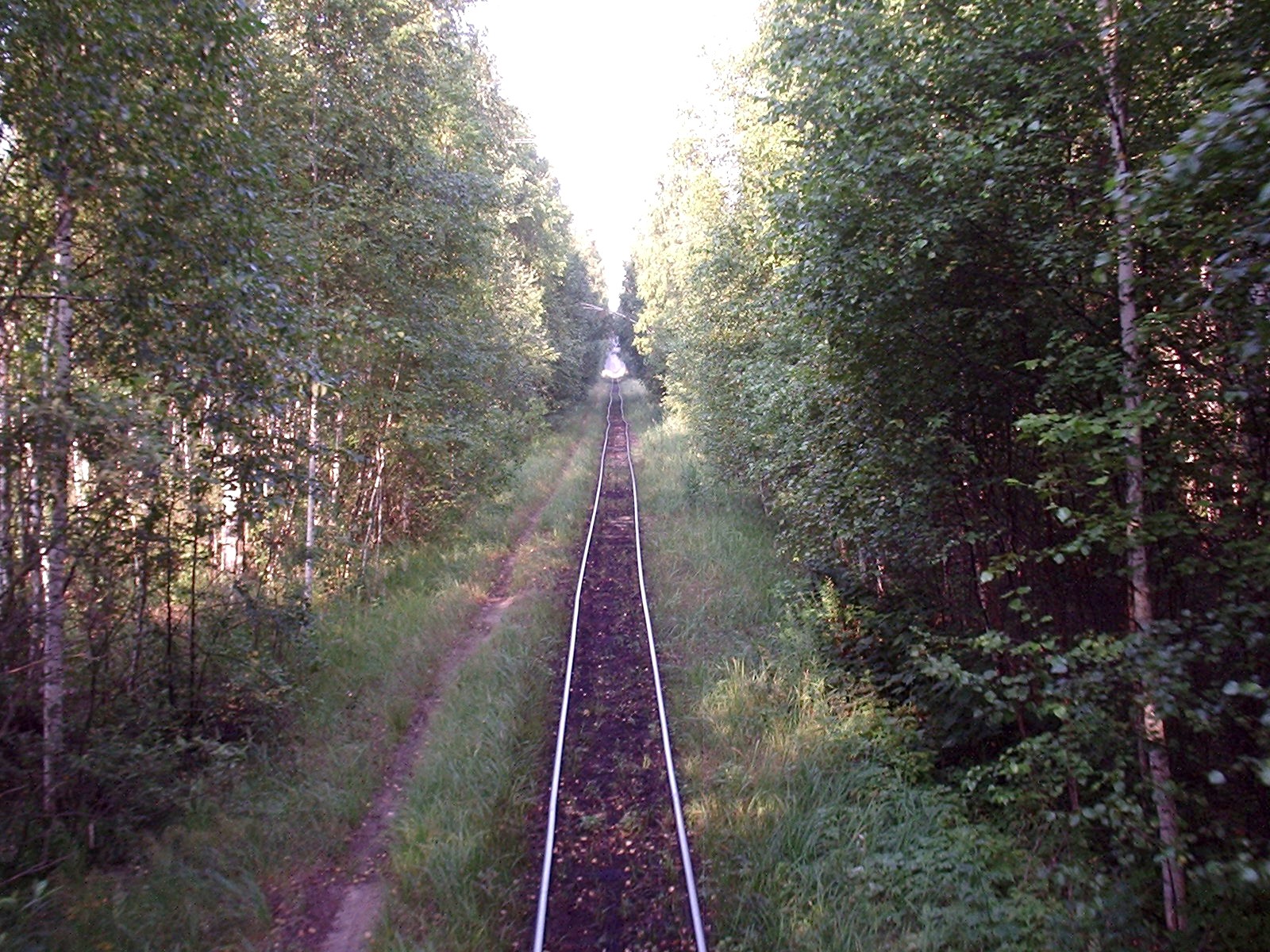 Узкоколейная железная дорога Мещерского торфопредприятия  — фотографии, сделанные в 2006 году (часть 5)