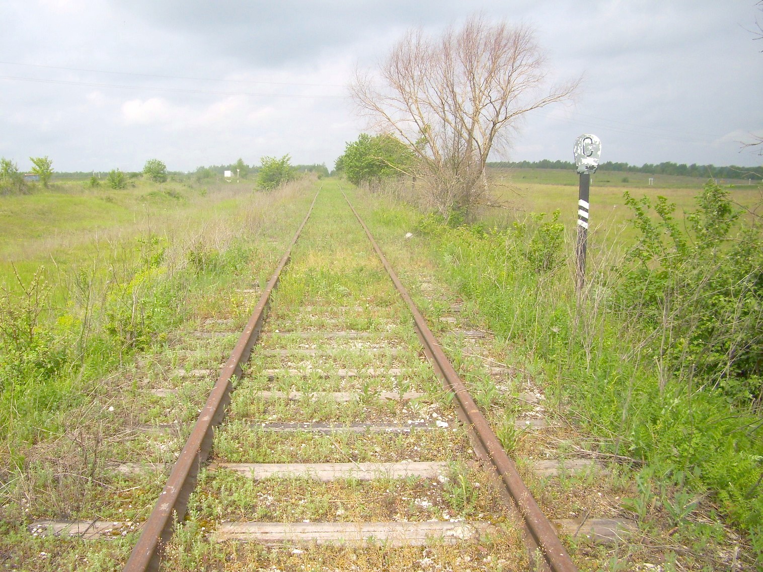 Железнодорожная линия Ушинский   —  Касимов
  —  фотографии, сделанные в 2012 году (часть 2)