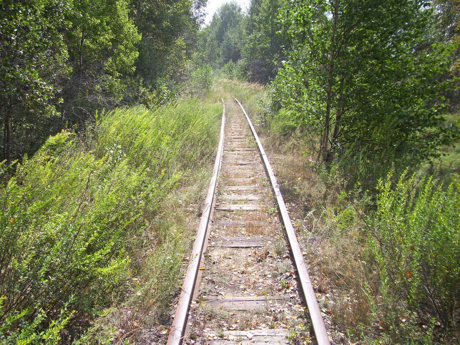 Рязанско-Владимирская узкоколейная железная дорога — фотографии, сделанные в 2011 году (часть 6)