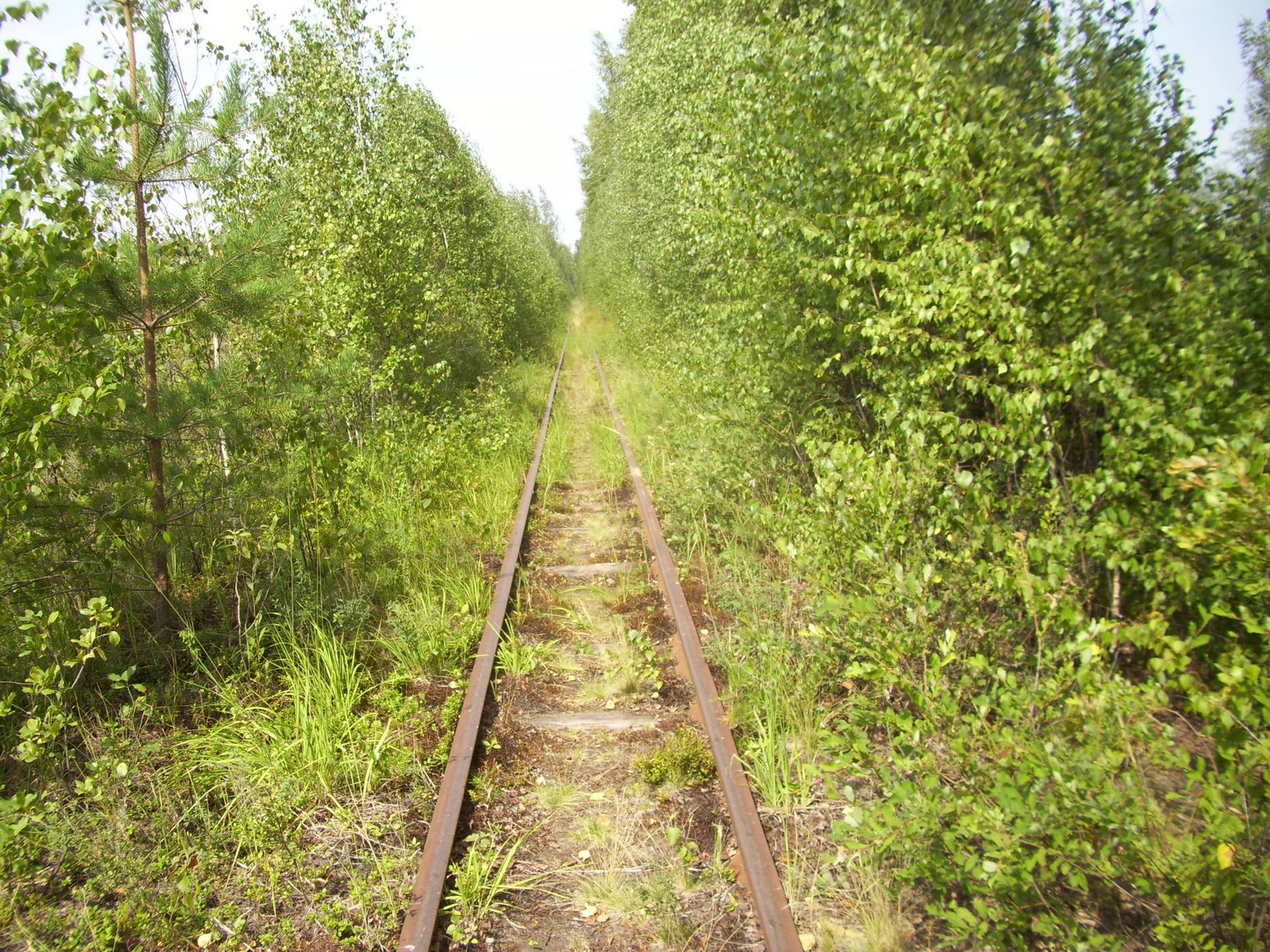 Рязанско-Владимирская узкоколейная железная дорога — фотографии, сделанные в 2011 году (часть 7)