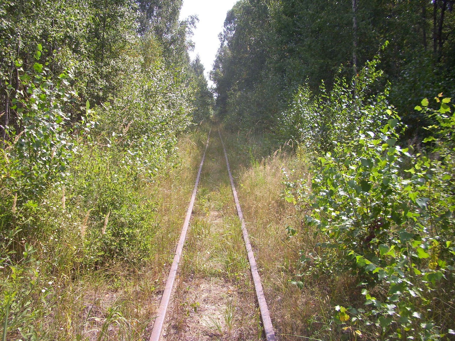 Рязанско-Владимирская узкоколейная железная дорога — фотографии, сделанные в 2011 году (часть 8)