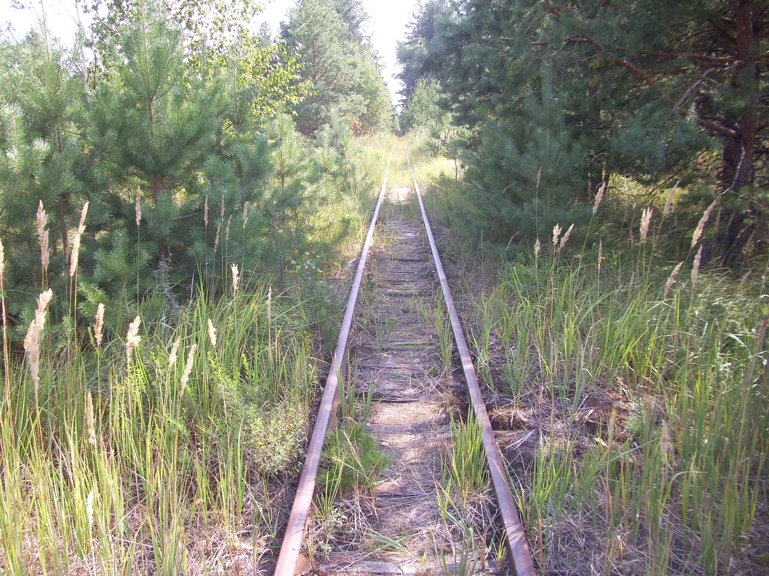 Рязанско-Владимирская узкоколейная железная дорога — фотографии, сделанные в 2011 году (часть 9)