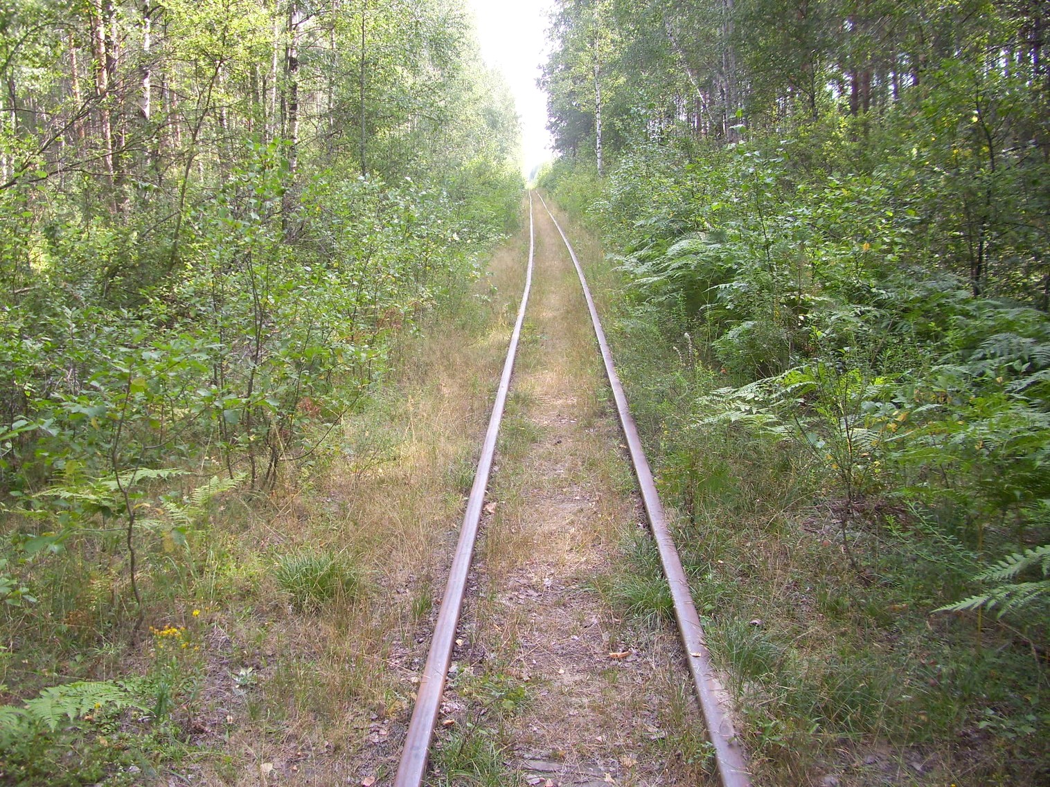 Рязанско-Владимирская узкоколейная железная дорога — фотографии, сделанные в 2011 году (часть 10)