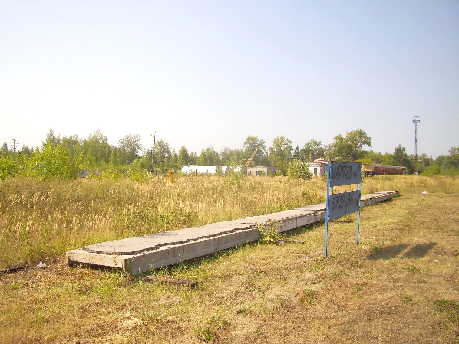 Рязанско-Владимирская узкоколейная железная дорога — фотографии, сделанные в 2011 году (часть 2)