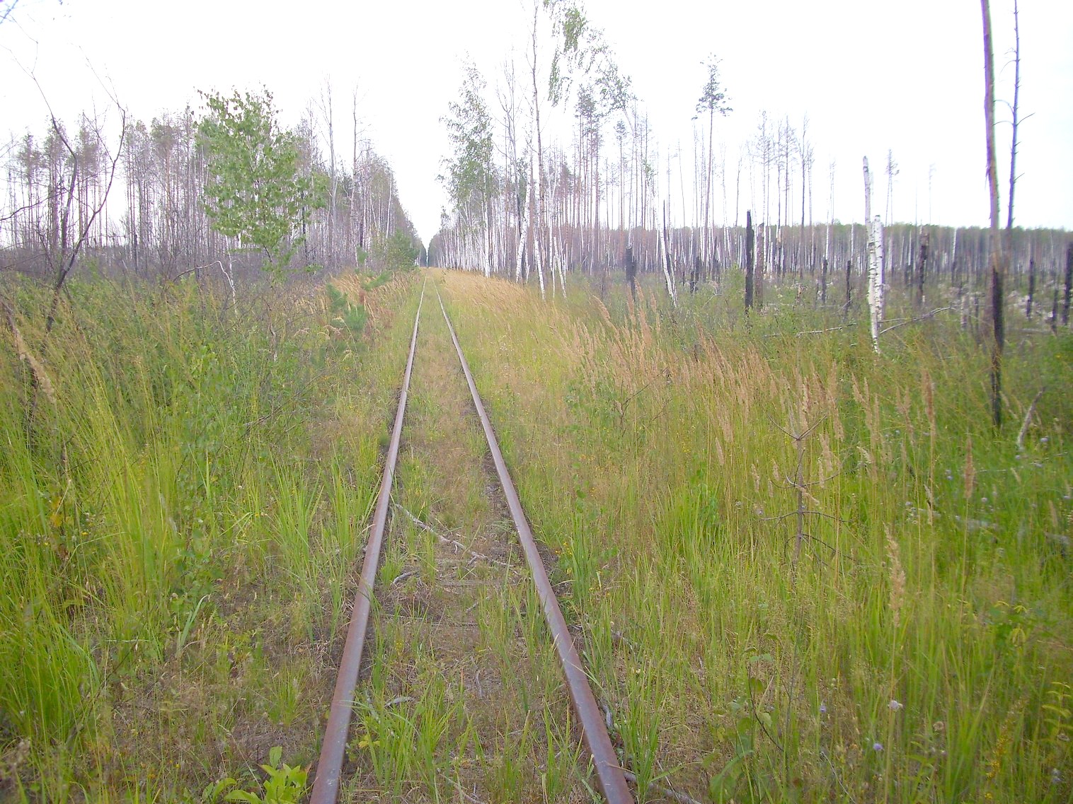 Рязанско-Владимирская узкоколейная железная дорога — фотографии, сделанные в 2011 году (часть 13)