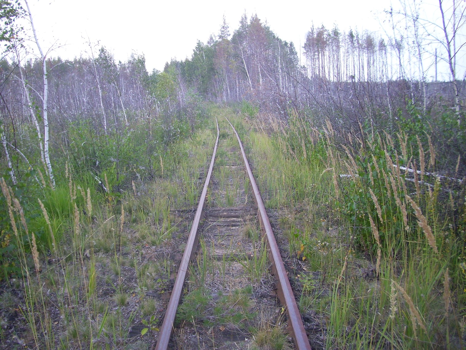 Рязанско-Владимирская узкоколейная железная дорога — фотографии, сделанные в 2011 году (часть 14)