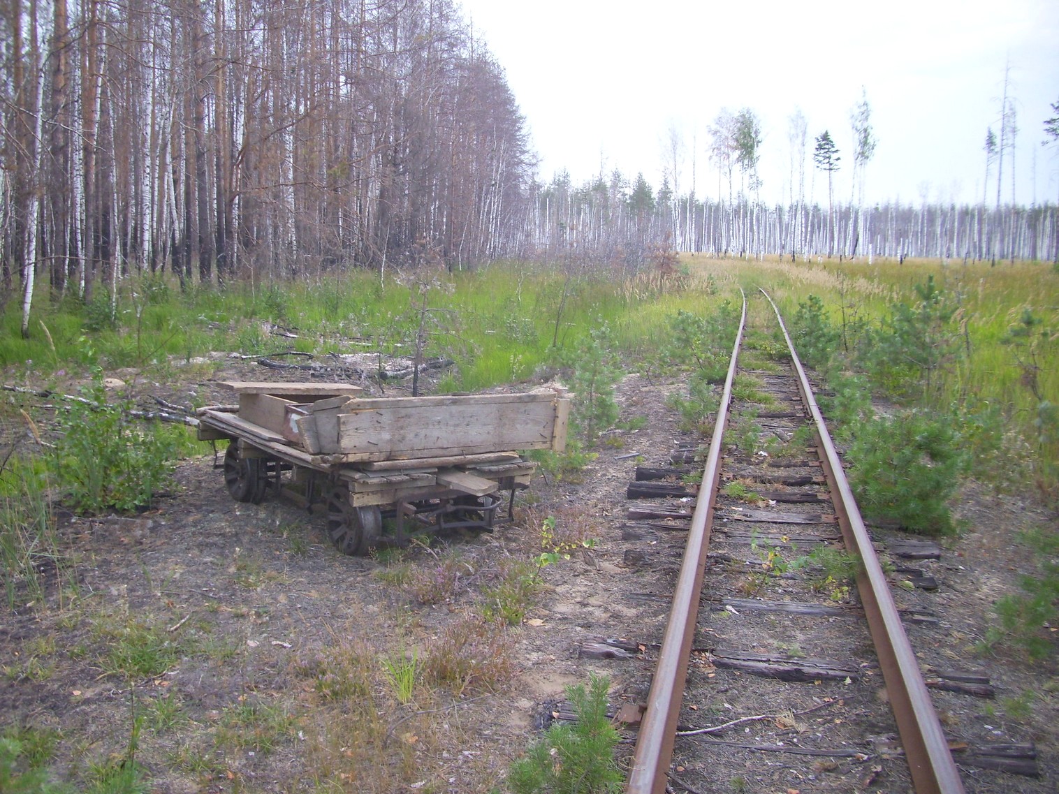 Рязанско-Владимирская узкоколейная железная дорога — фотографии, сделанные в 2011 году (часть 17)