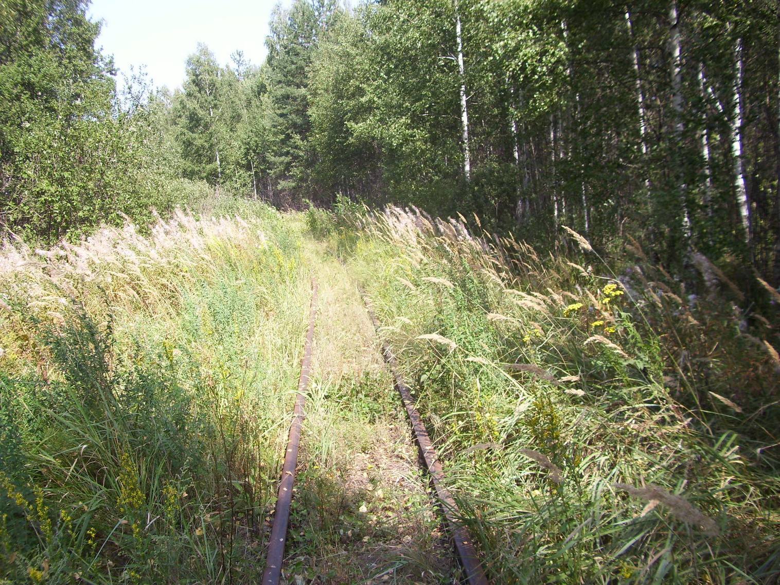 Рязанско-Владимирская узкоколейная железная дорога — фотографии, сделанные в 2011 году (часть 4)