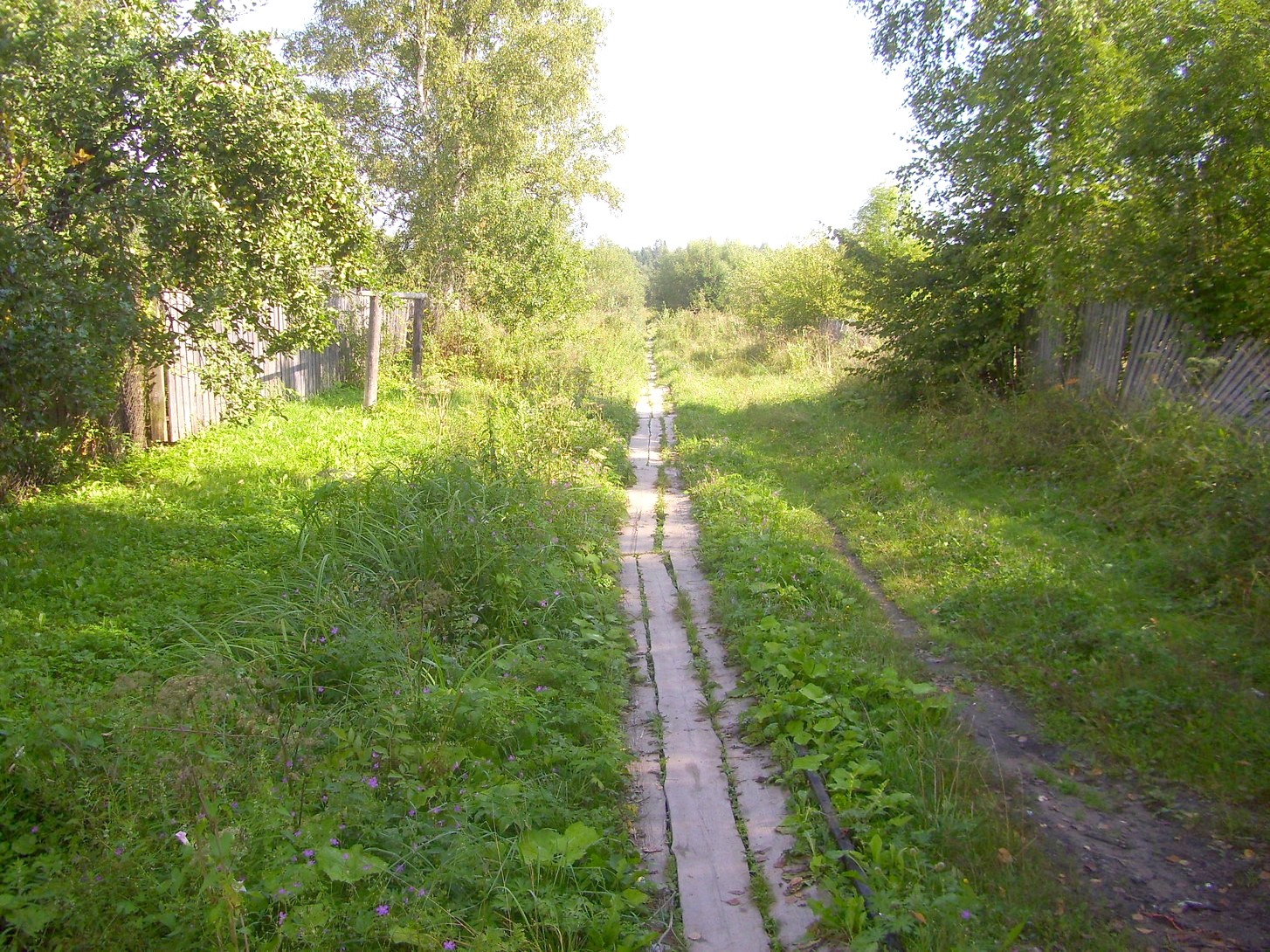Кневицкая узкоколейная железная дорога — фотографии, сделанные в 2011 году (часть 1)