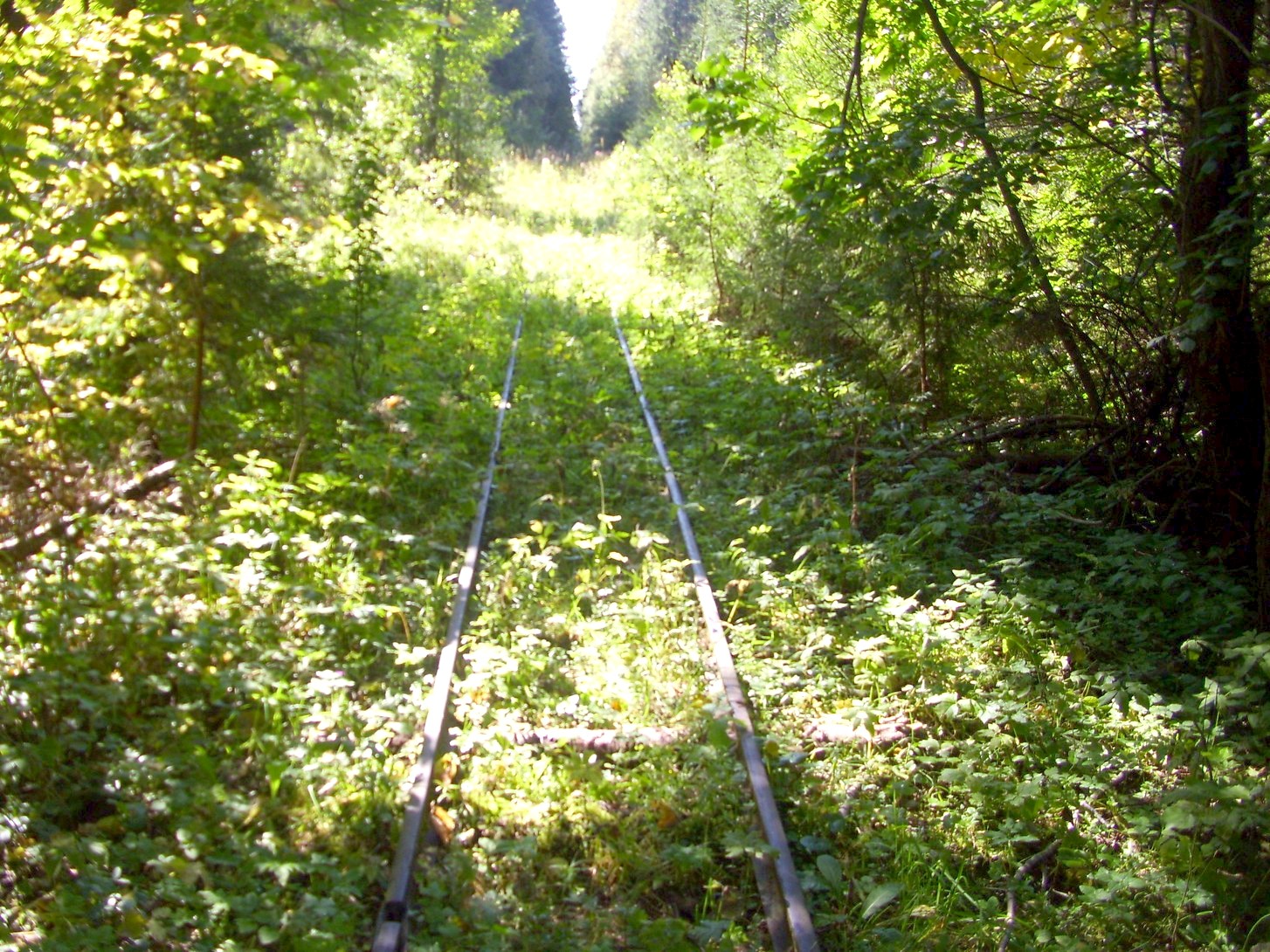Кневицкая узкоколейная железная дорога — фотографии, сделанные в 2011 году (часть 7)