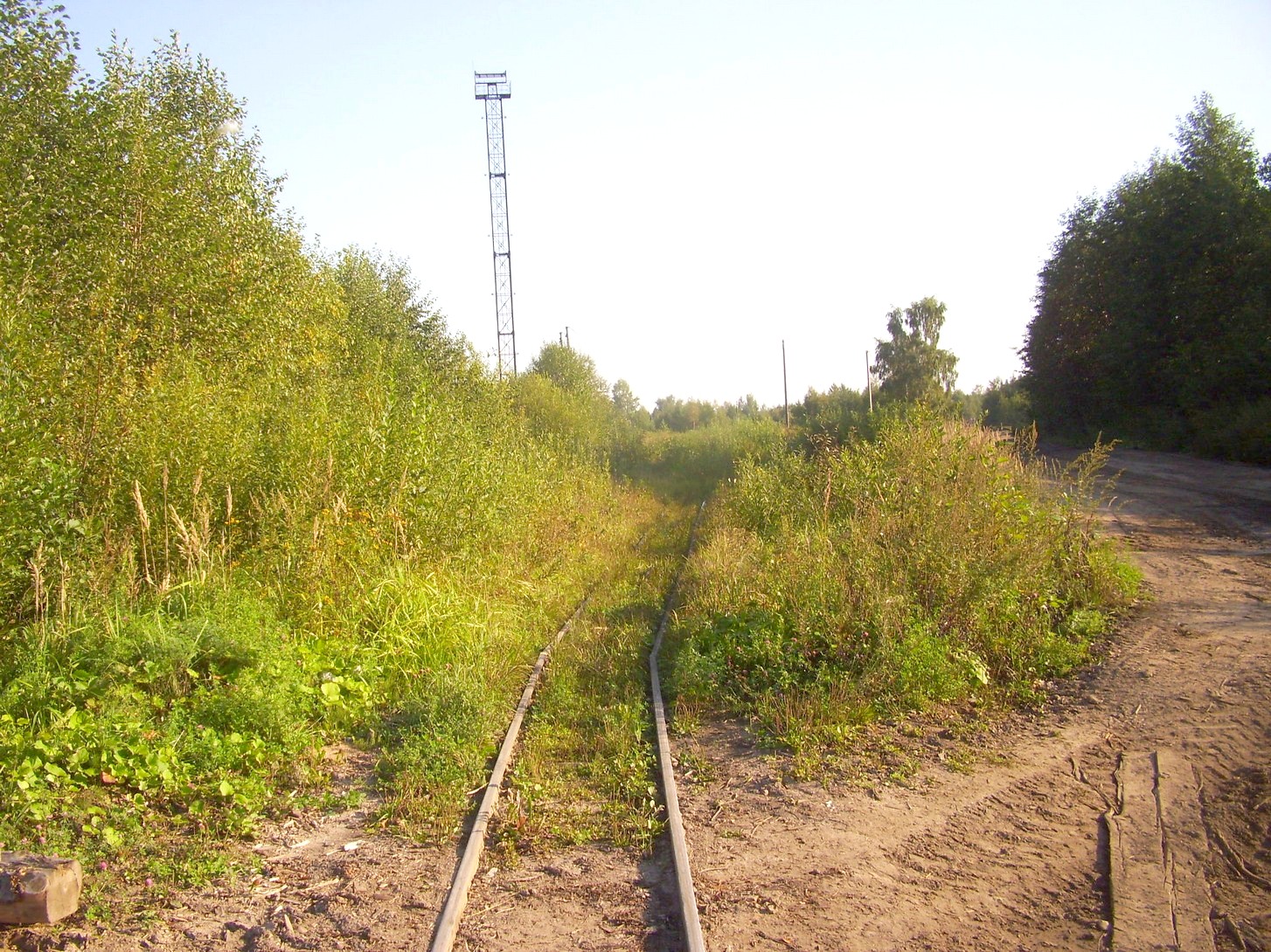 Кневицкая узкоколейная железная дорога — фотографии, сделанные в 2011 году (часть 13)