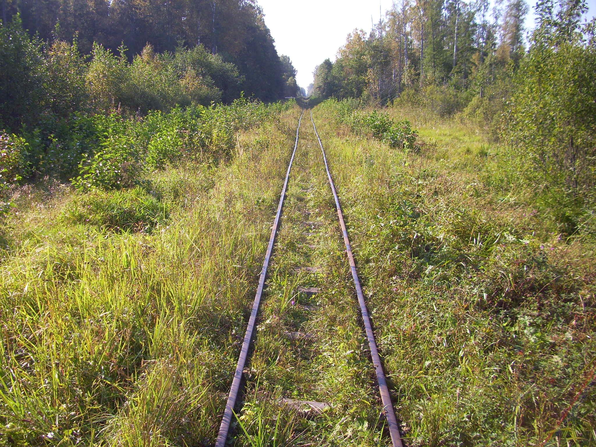 Кневицкая узкоколейная железная дорога — фотографии, сделанные в 2011 году (часть 15)