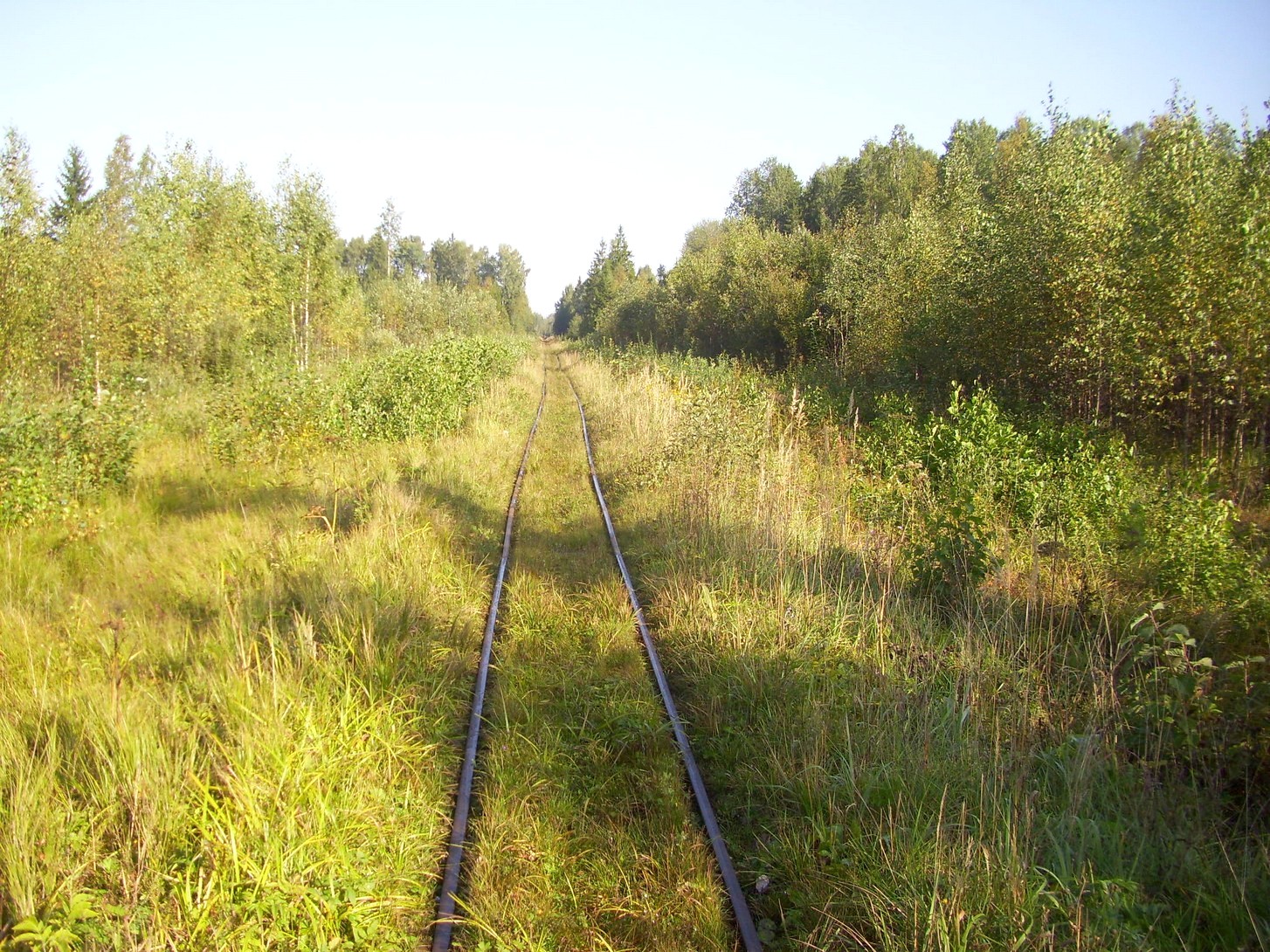 Кневицкая узкоколейная железная дорога — фотографии, сделанные в 2011 году (часть 16)
