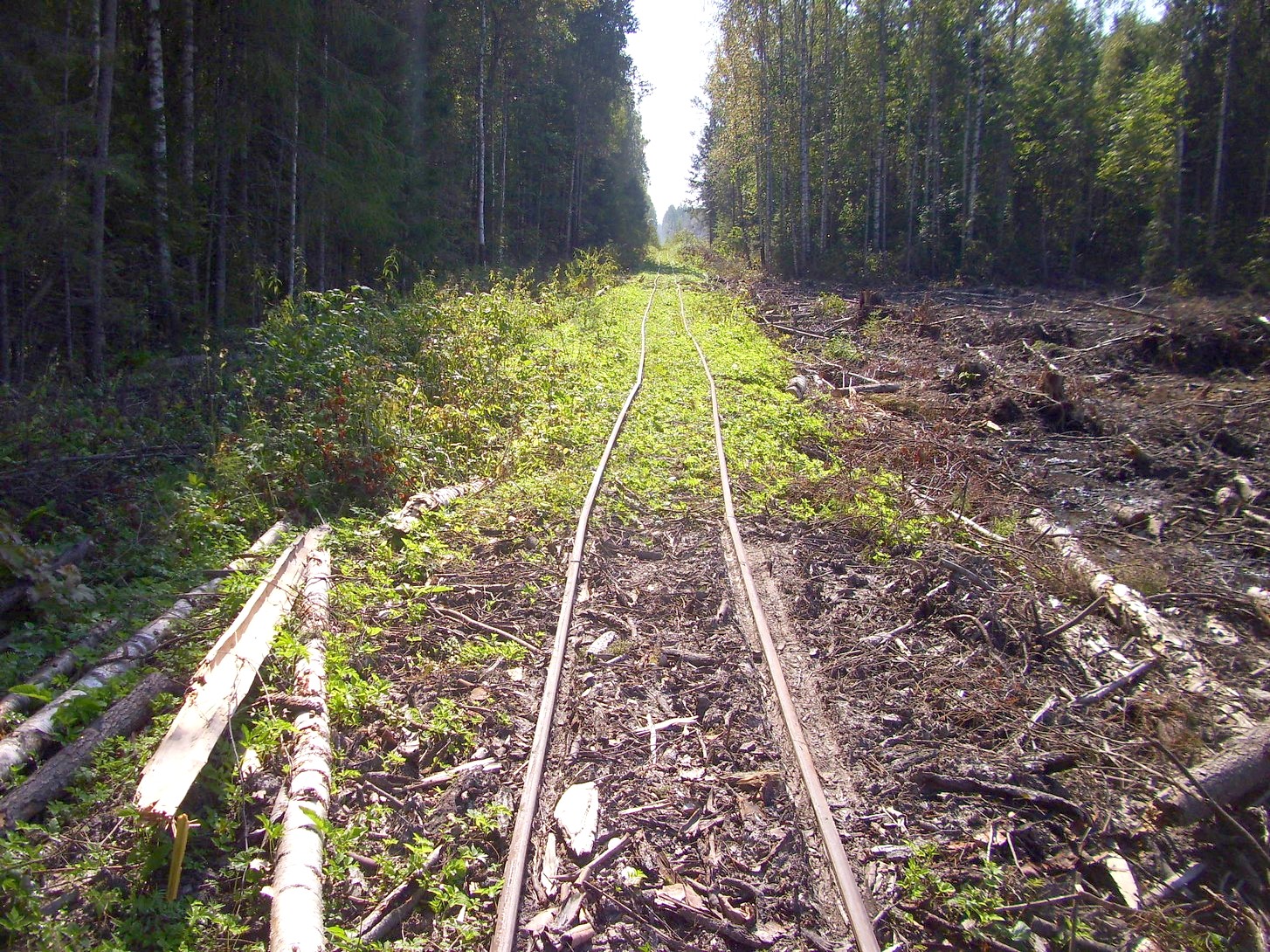 Кневицкая узкоколейная железная дорога — фотографии, сделанные в 2011 году (часть 20)