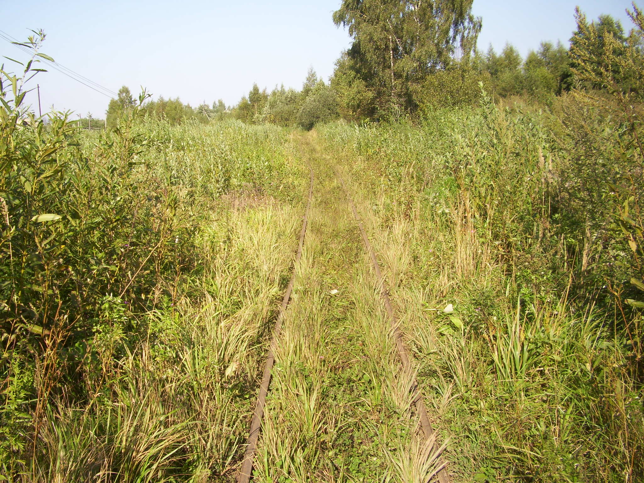 Кневицкая узкоколейная железная дорога — фотографии, сделанные в 2011 году (часть 22)