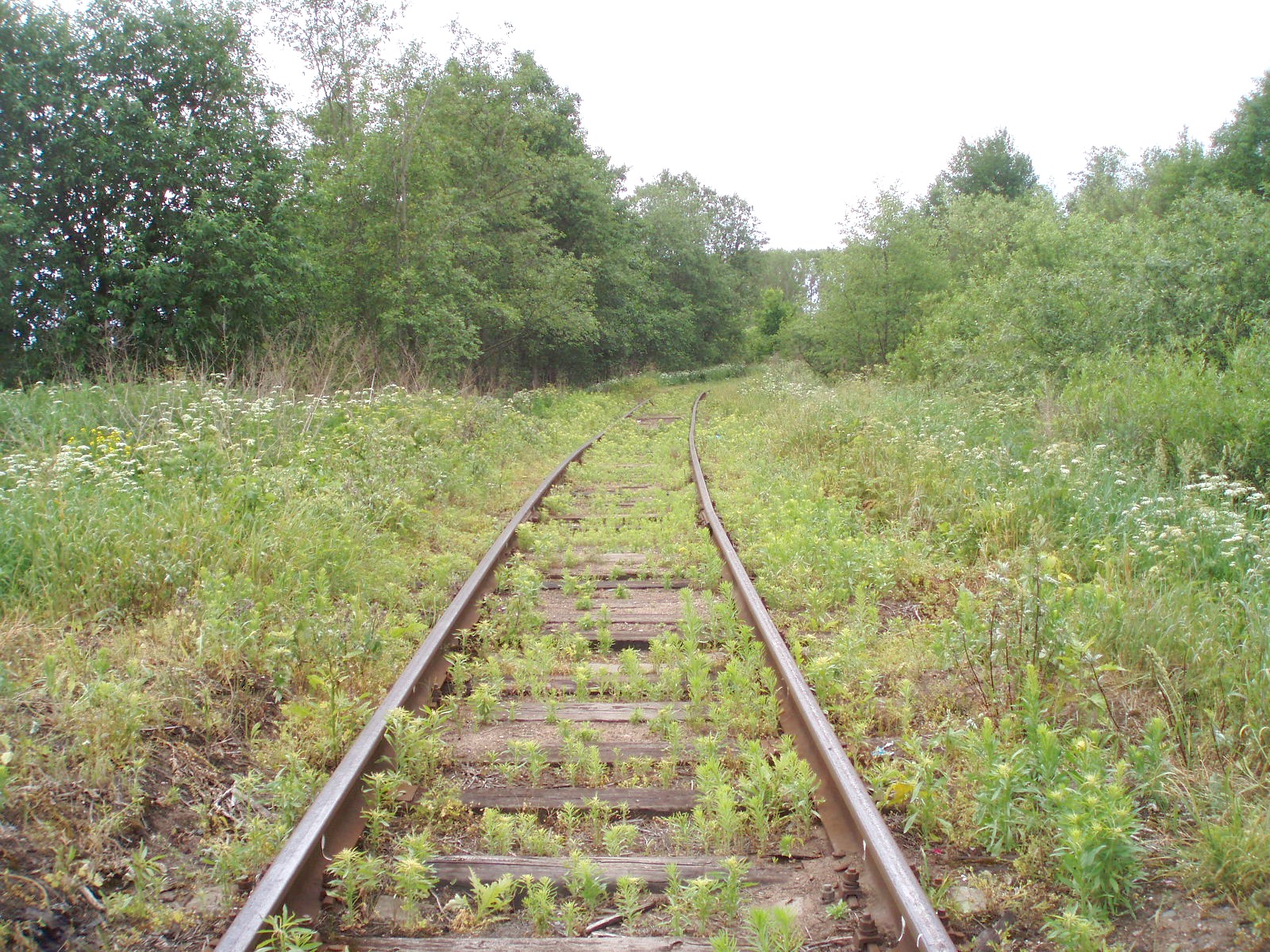 Железнодорожная линия Редкино — Изоплит  — фотографии, сделанные в 2007 году (часть 1)