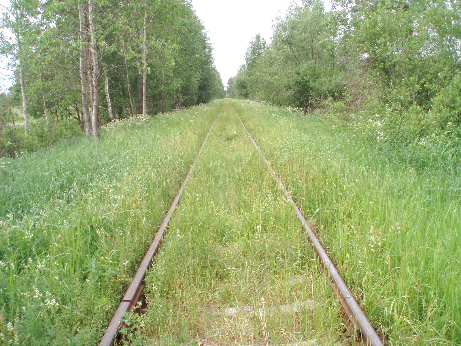 Железнодорожная линия Редкино — Изоплит  — фотографии, сделанные в 2007 году (часть 2)