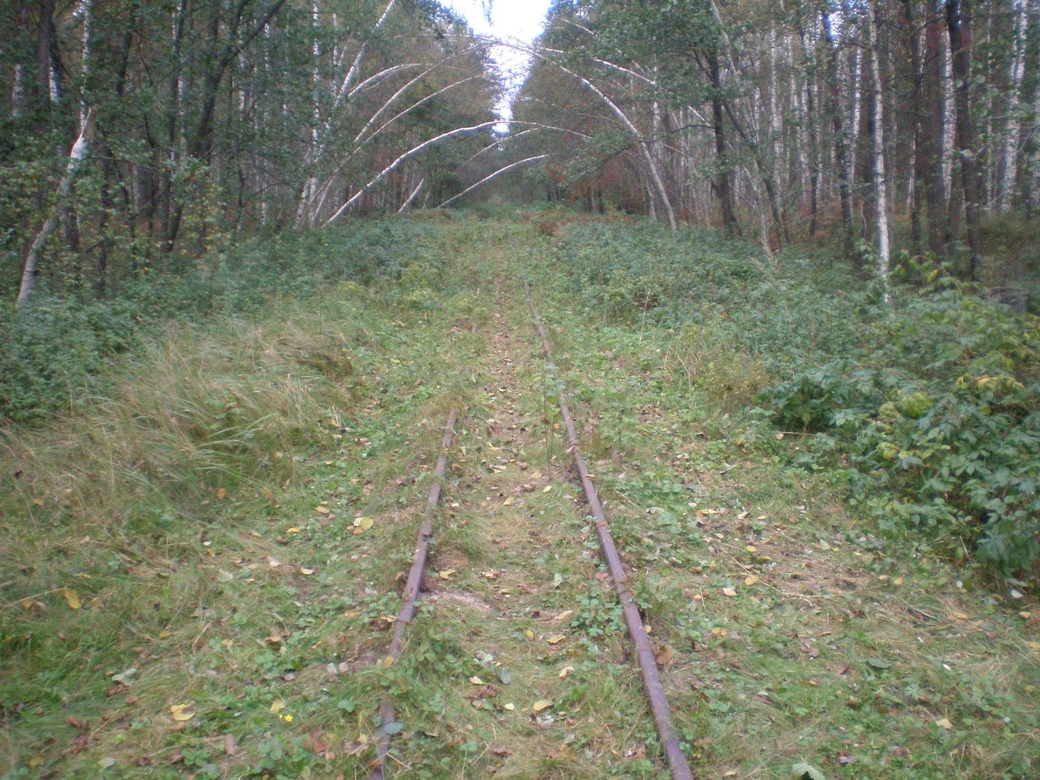 Узкоколейная железная дорога Радовицкого  транспортного управления — фотографии, сделанные в 2008 году (часть 10)