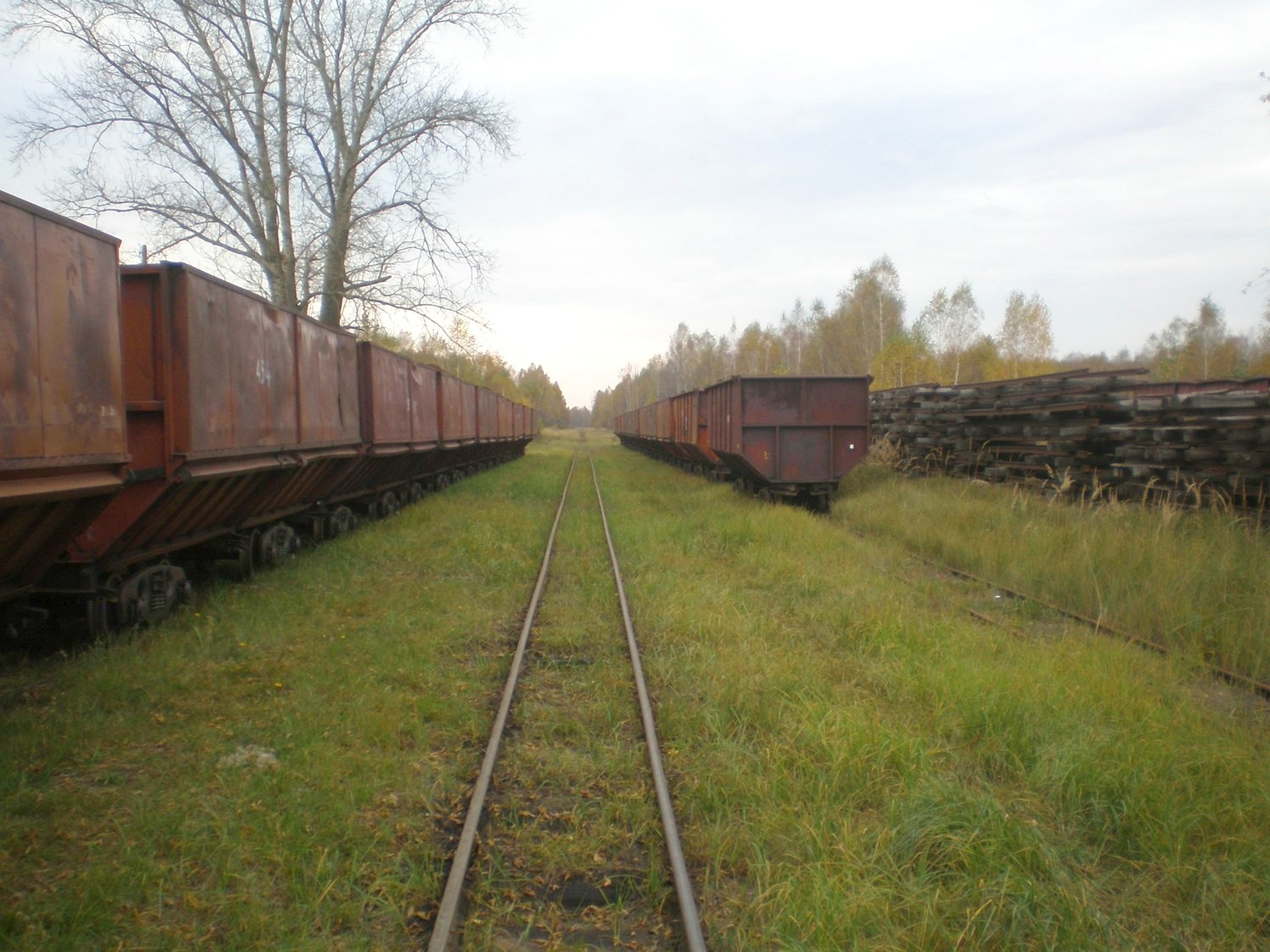 Узкоколейная железная дорога Радовицкого  транспортного управления — фотографии, сделанные в 2008 году (часть 13)