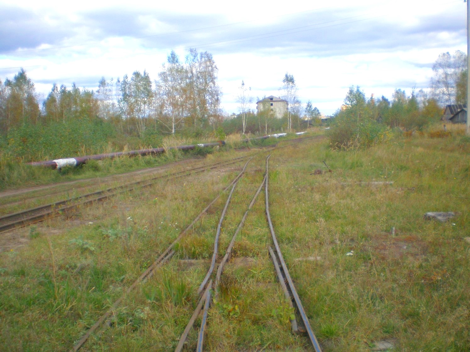 Узкоколейная железная дорога Радовицкого  транспортного управления — фотографии, сделанные в 2008 году (часть 3)