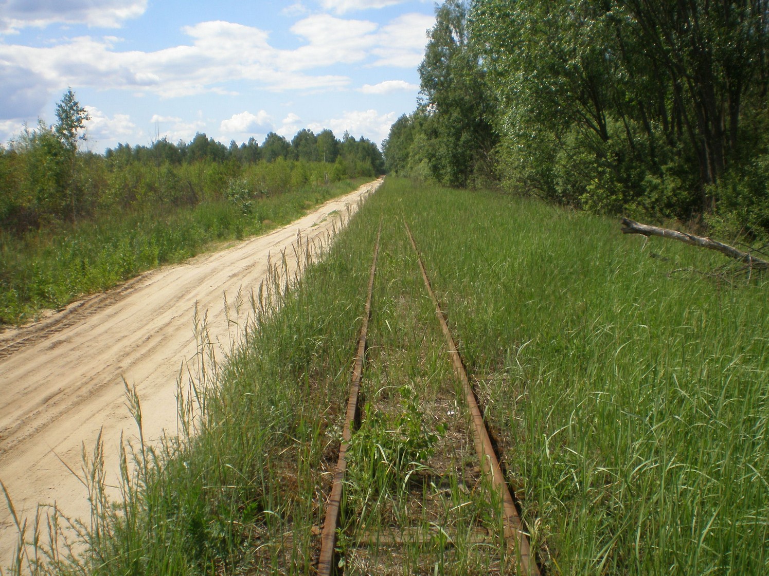 Узкоколейная железная дорога Радовицкого  транспортного управления — фотографии, сделанные в 2009 году (часть 6)