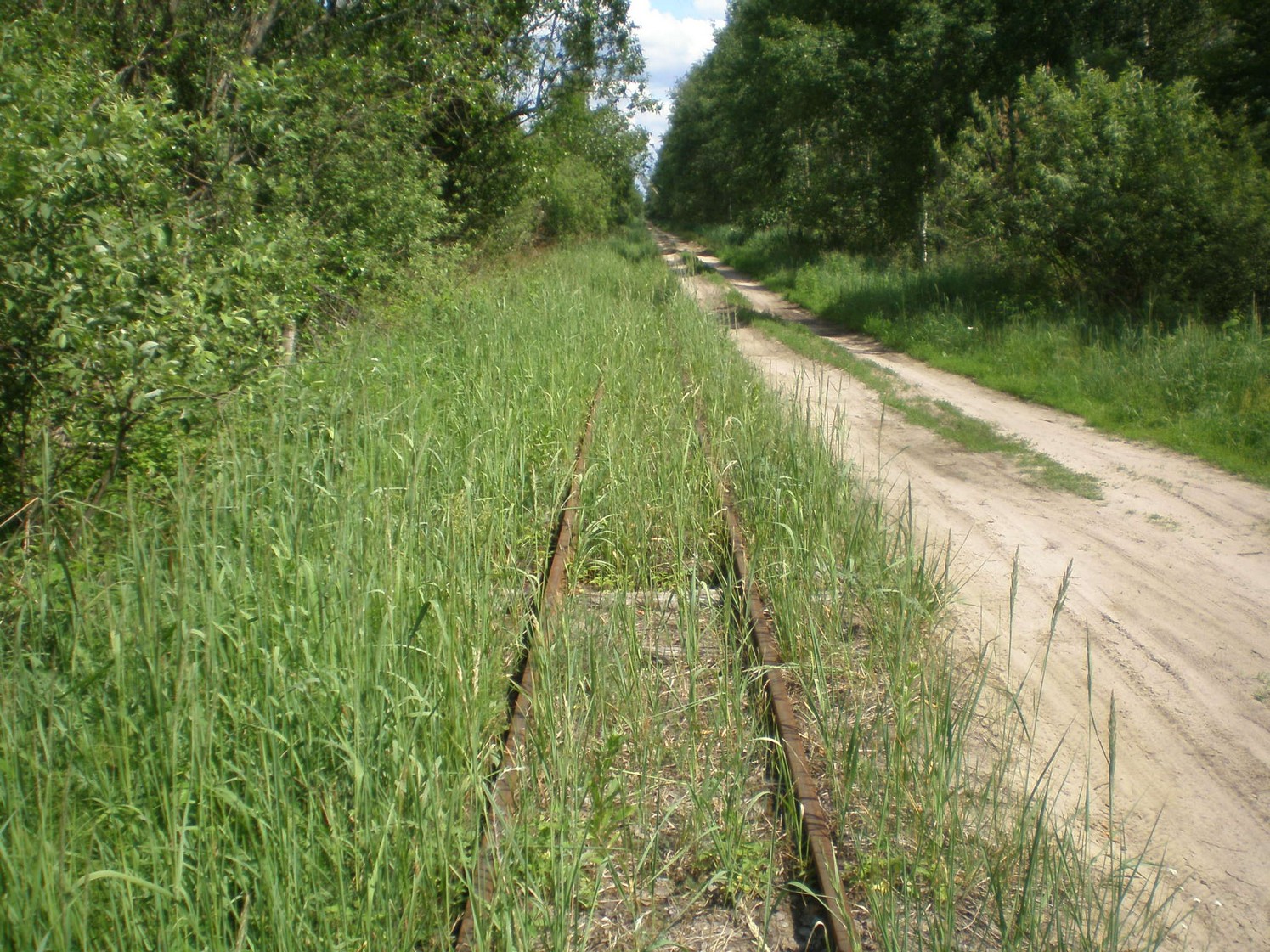 Узкоколейная железная дорога Радовицкого  транспортного управления — фотографии, сделанные в 2009 году (часть 7)