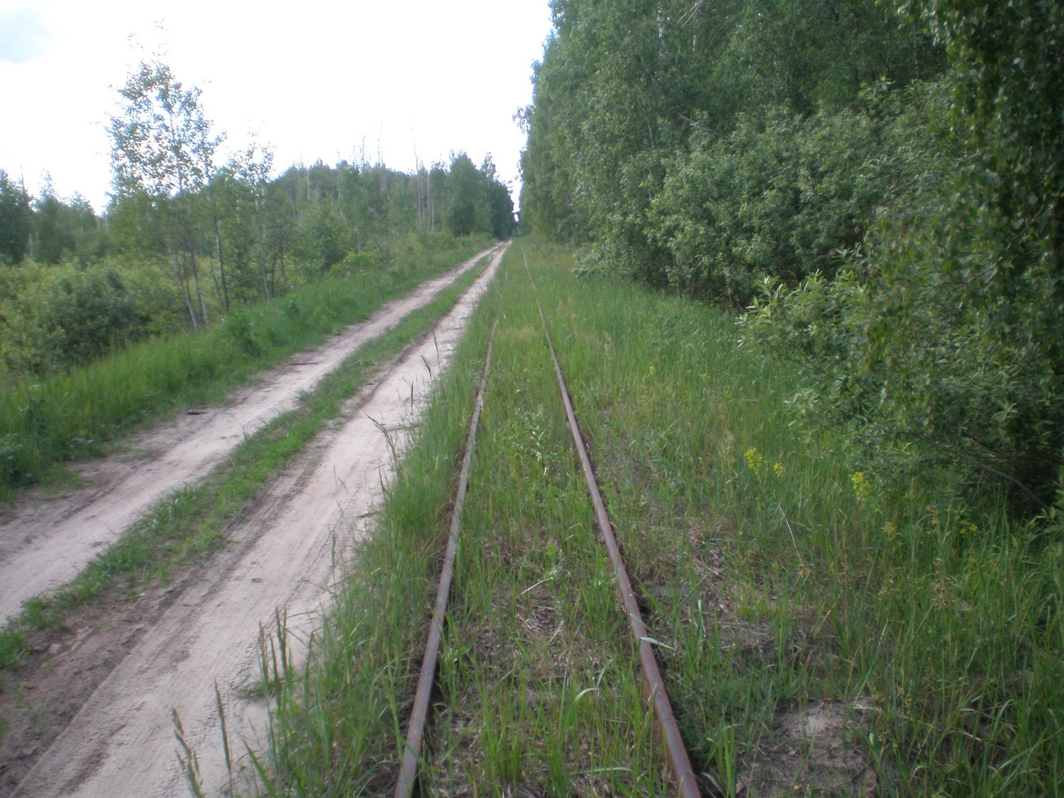 Узкоколейная железная дорога Радовицкого  транспортного управления — фотографии, сделанные в 2009 году (часть 8)