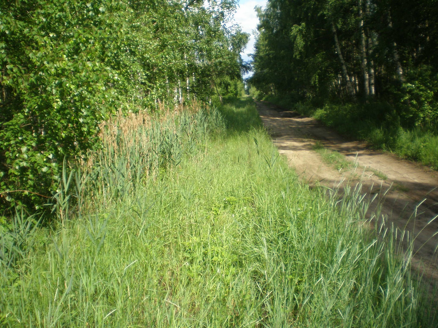 Узкоколейная железная дорога Радовицкого  транспортного управления — фотографии, сделанные в 2009 году (часть 9)