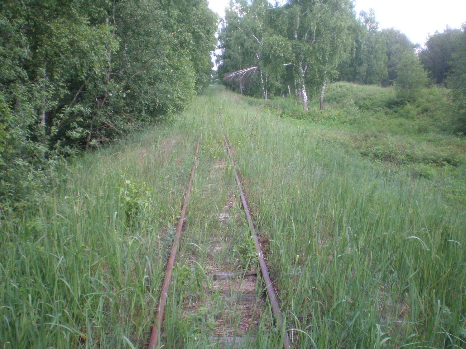 Узкоколейная железная дорога Радовицкого  транспортного управления — фотографии, сделанные в 2009 году (часть 10)