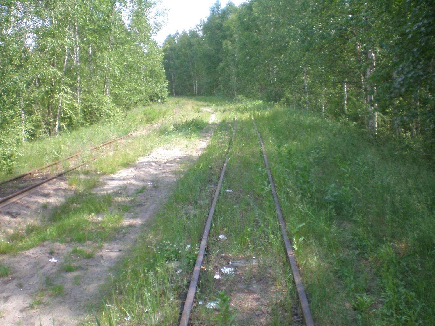 Узкоколейная железная дорога Радовицкого  транспортного управления — фотографии, сделанные в 2009 году (часть 2)