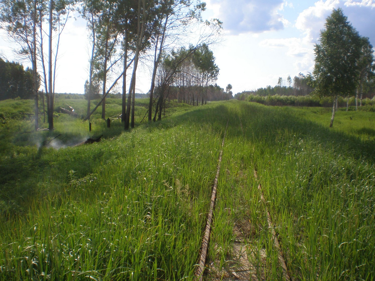 Узкоколейная железная дорога Радовицкого  транспортного управления — фотографии, сделанные в 2009 году (часть 12)