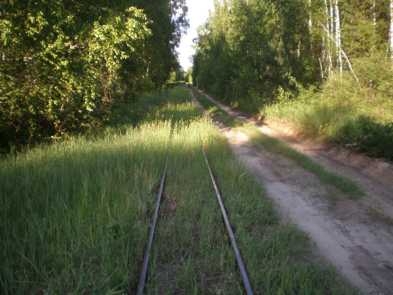 Узкоколейная железная дорога Радовицкого  транспортного управления — фотографии, сделанные в 2009 году (часть 21)