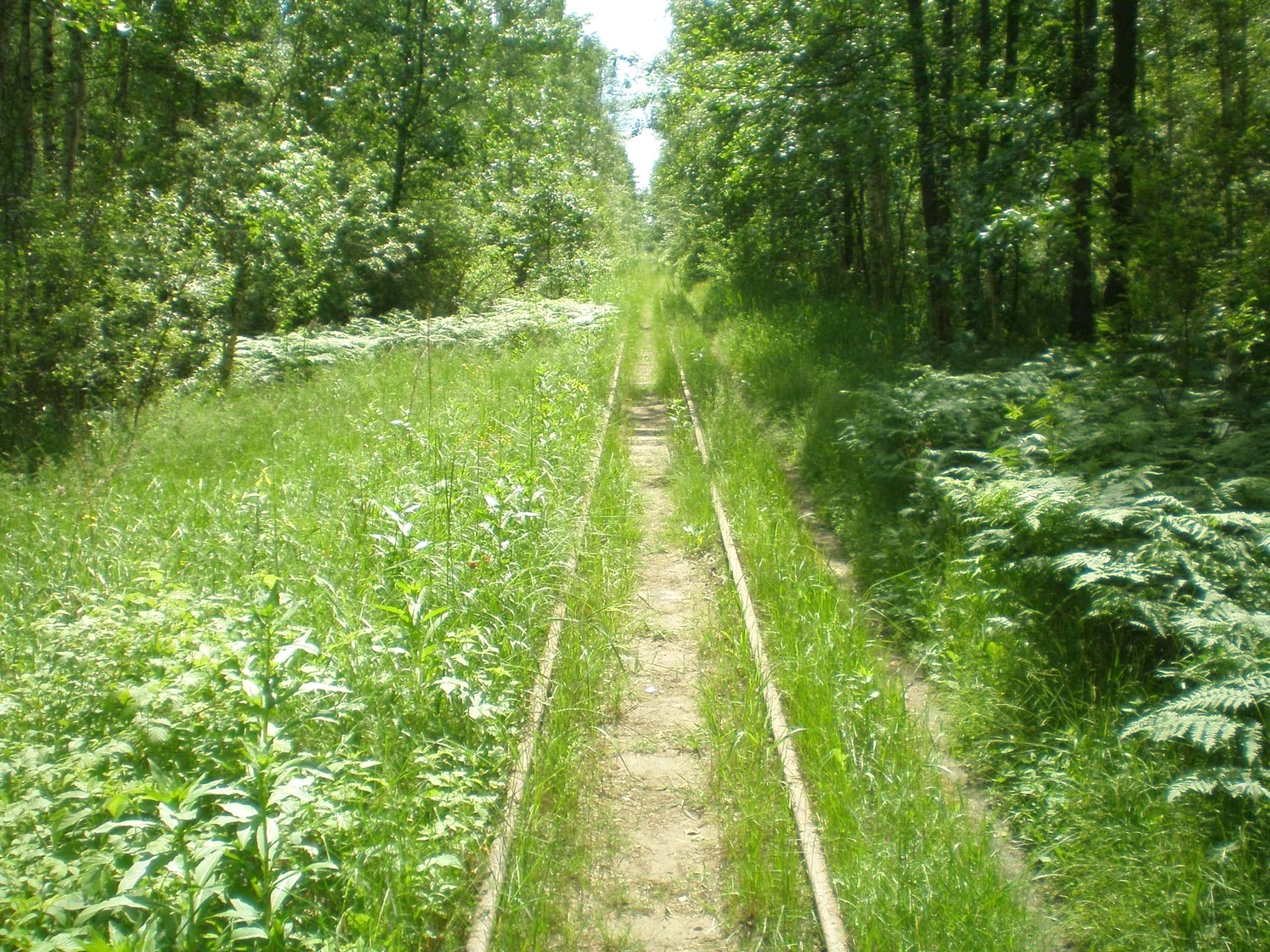 Узкоколейная железная дорога Радовицкого  транспортного управления — фотографии, сделанные в 2009 году (часть 3)