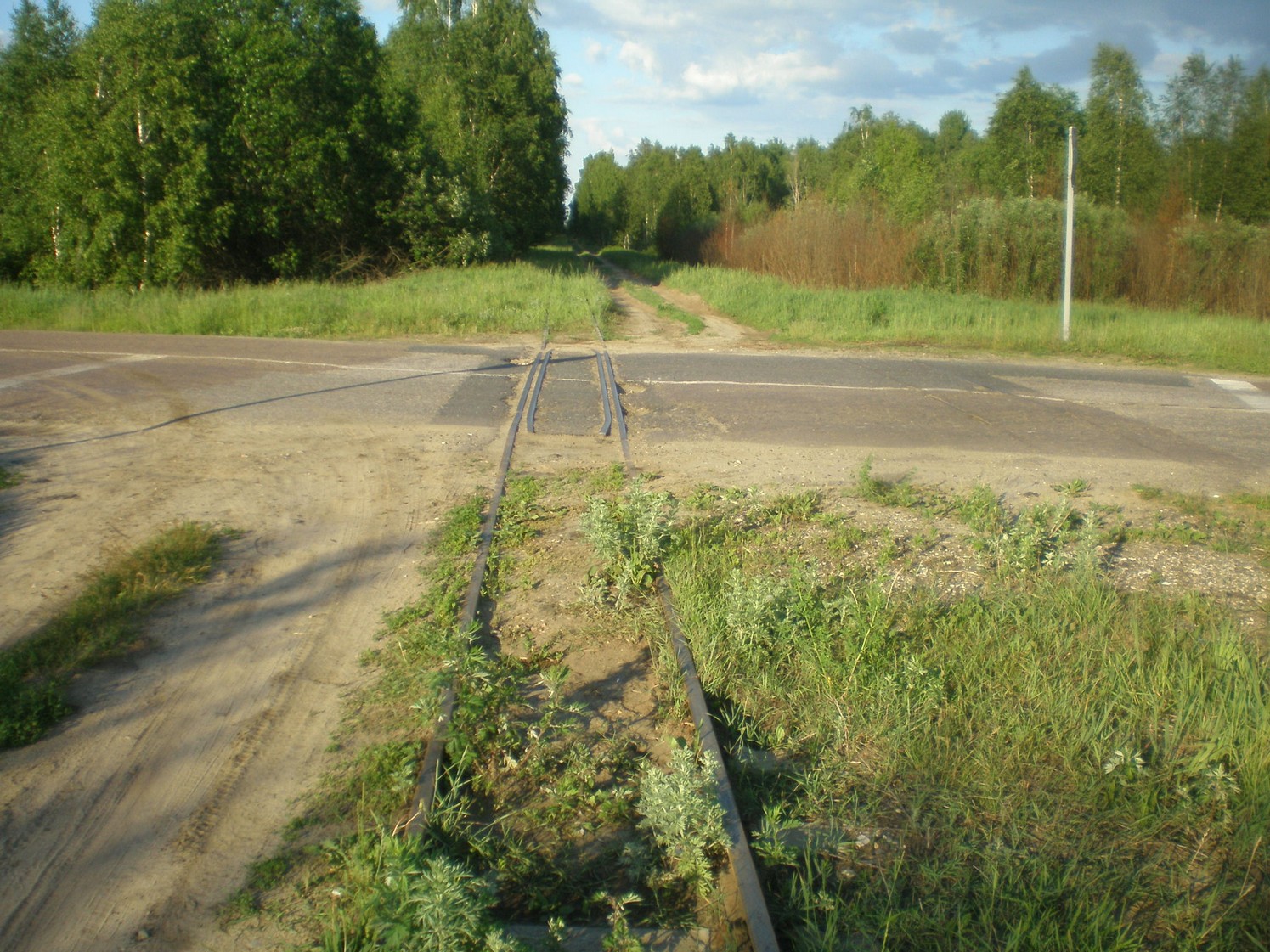 Узкоколейная железная дорога Радовицкого  транспортного управления — фотографии, сделанные в 2009 году (часть 22)