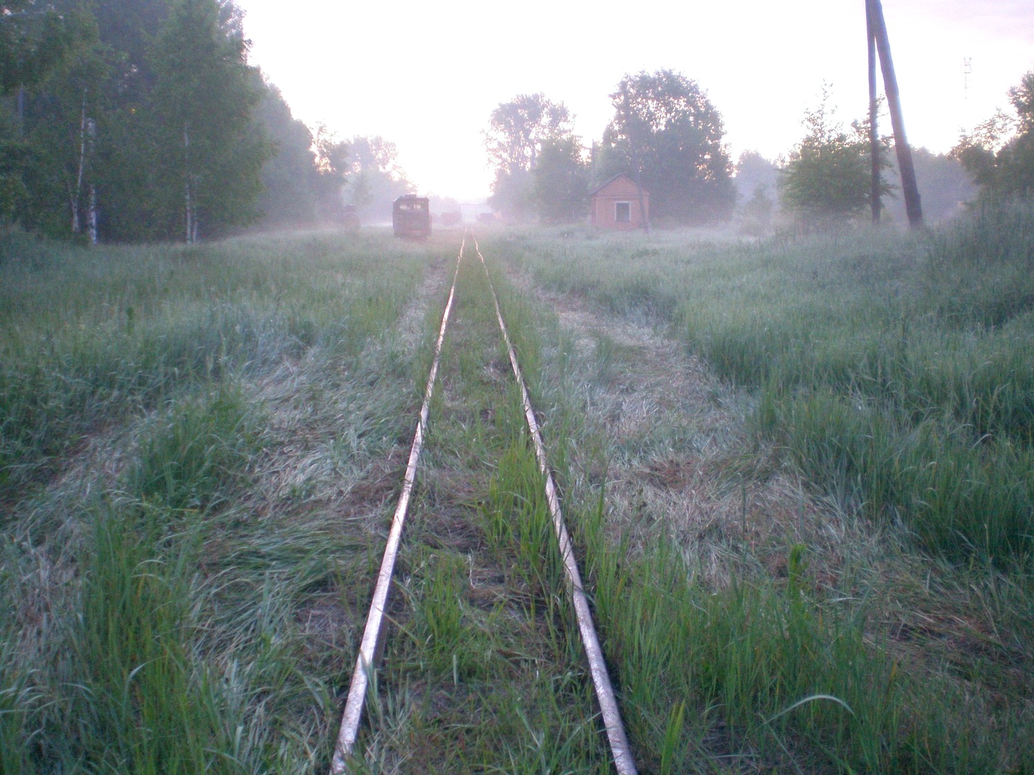 Узкоколейная железная дорога Радовицкого  транспортного управления — фотографии, сделанные в 2009 году (часть 25)
