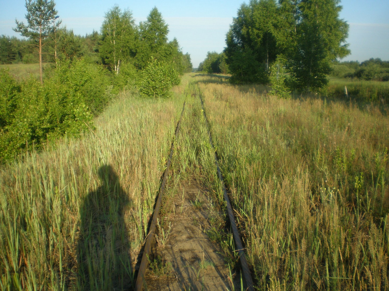 Узкоколейная железная дорога Радовицкого  транспортного управления — фотографии, сделанные в 2009 году (часть 29)