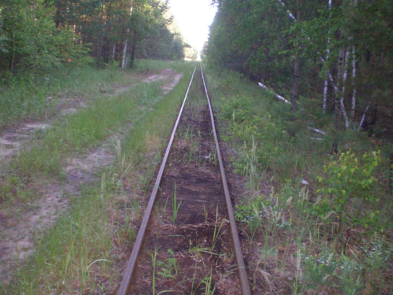 Узкоколейная железная дорога Радовицкого  транспортного управления — фотографии, сделанные в 2009 году (часть 32)