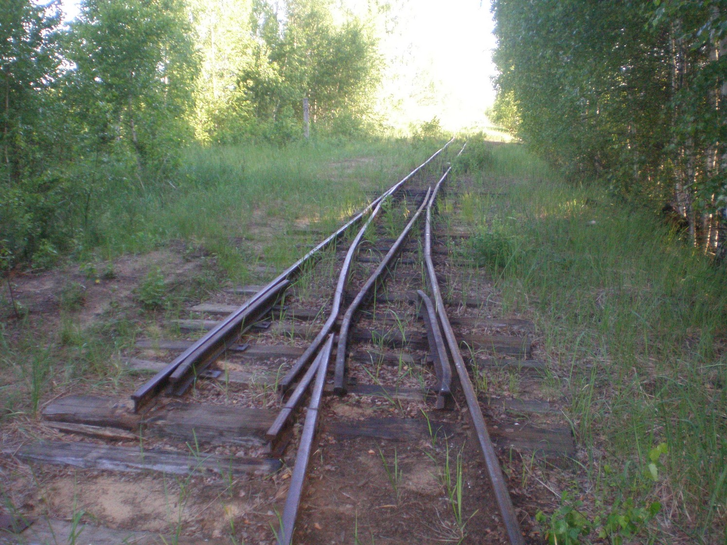 Узкоколейная железная дорога Радовицкого  транспортного управления — фотографии, сделанные в 2009 году (часть 33)