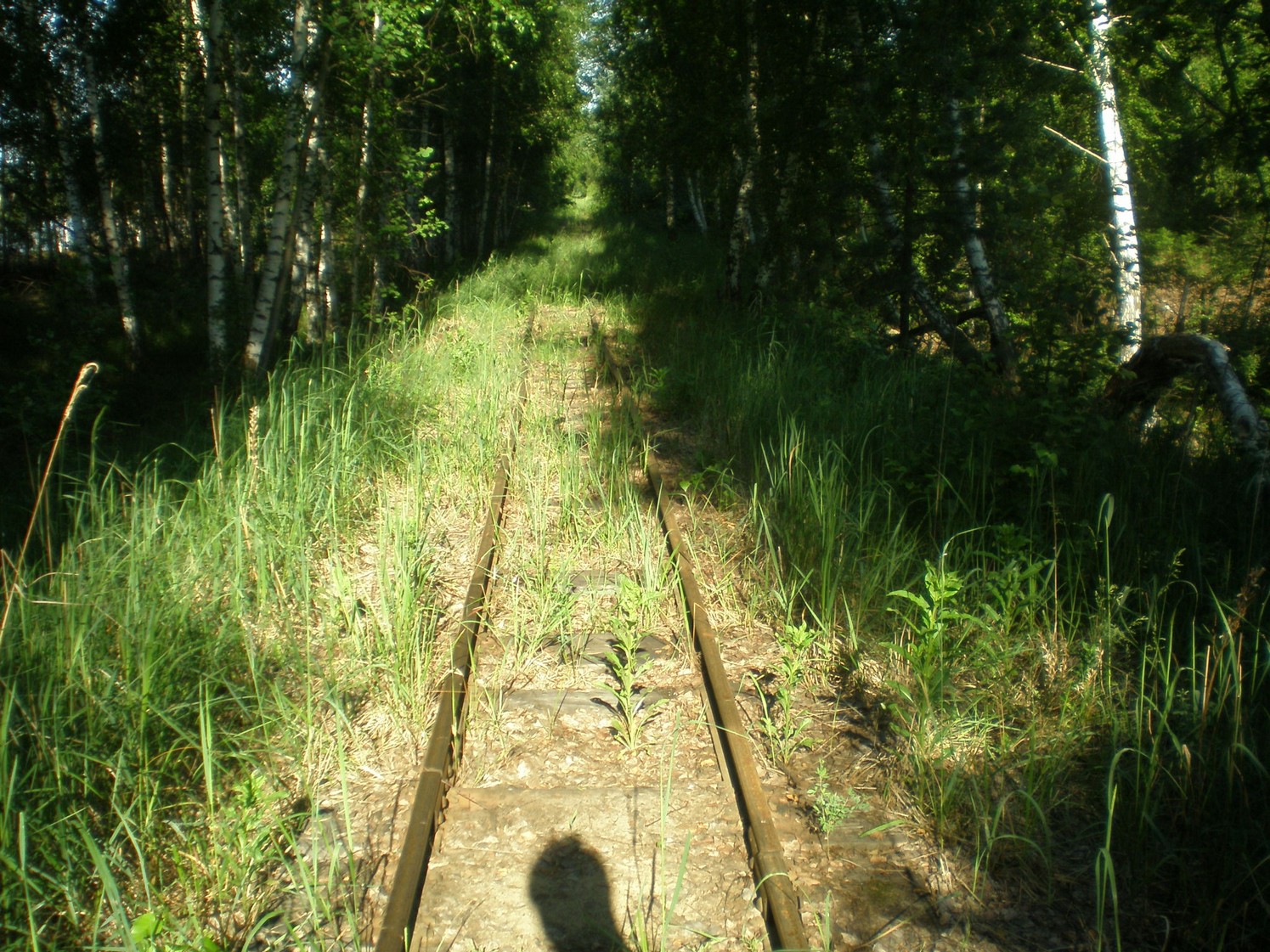 Узкоколейная железная дорога Радовицкого  транспортного управления — фотографии, сделанные в 2009 году (часть 35)