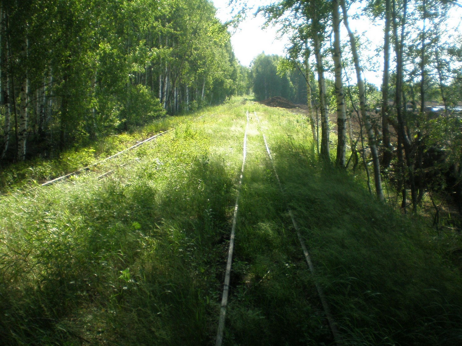 Узкоколейная железная дорога Радовицкого  транспортного управления — фотографии, сделанные в 2009 году (часть 36)