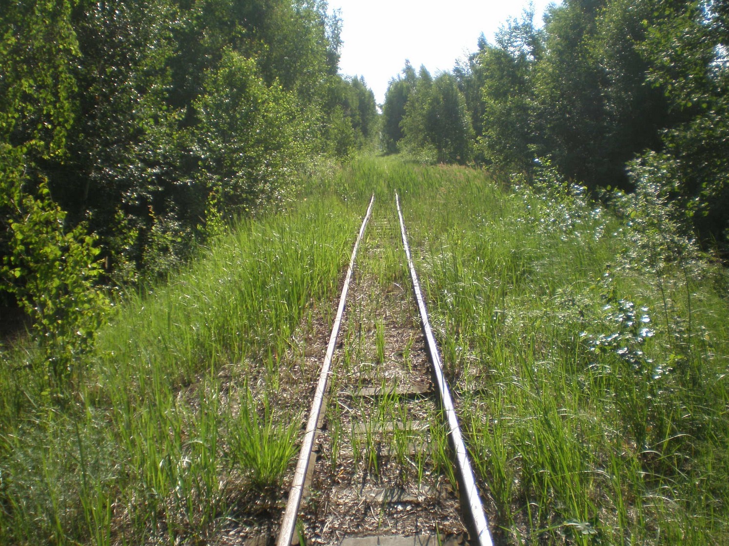 Узкоколейная железная дорога Радовицкого  транспортного управления — фотографии, сделанные в 2009 году (часть 37)