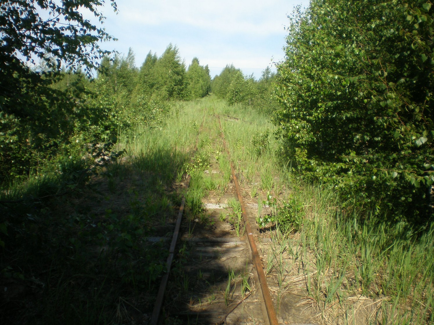 Узкоколейная железная дорога Радовицкого  транспортного управления — фотографии, сделанные в 2009 году (часть 38)